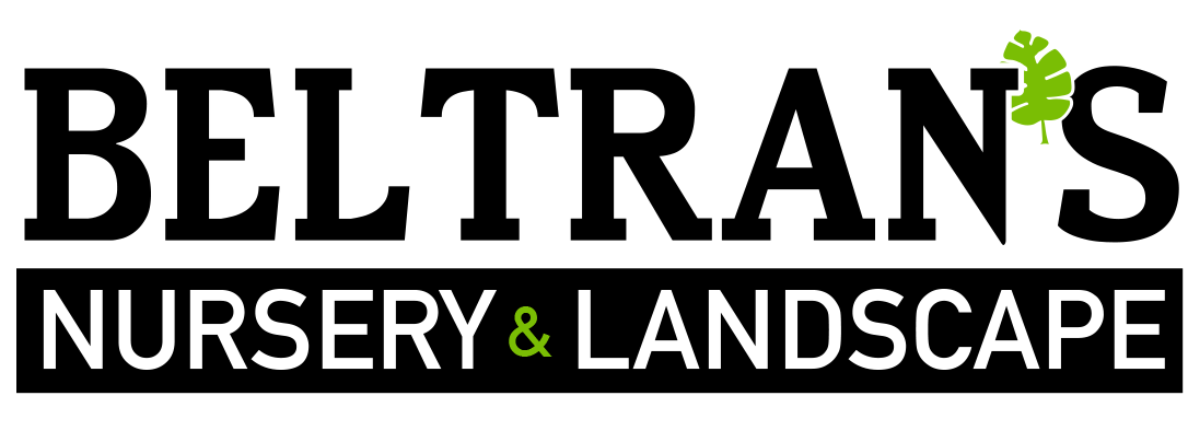 Beltran's Nursery & Landscape in Punta Gorda