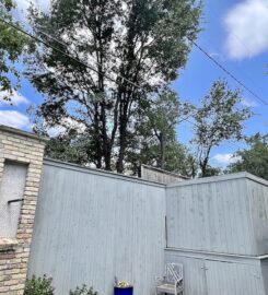 Tree Services – Treefari