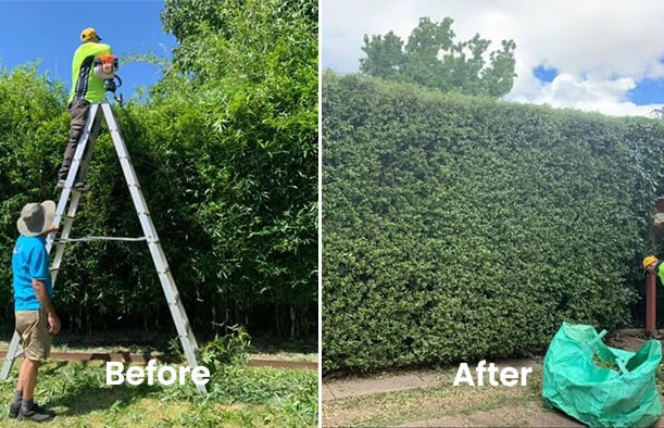 ACT House and Landscaping Maintenance