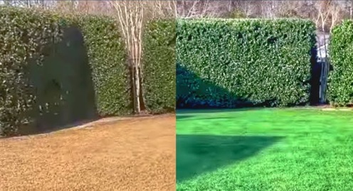 Austin Lawn Painters