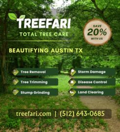 Tree Services – Treefari