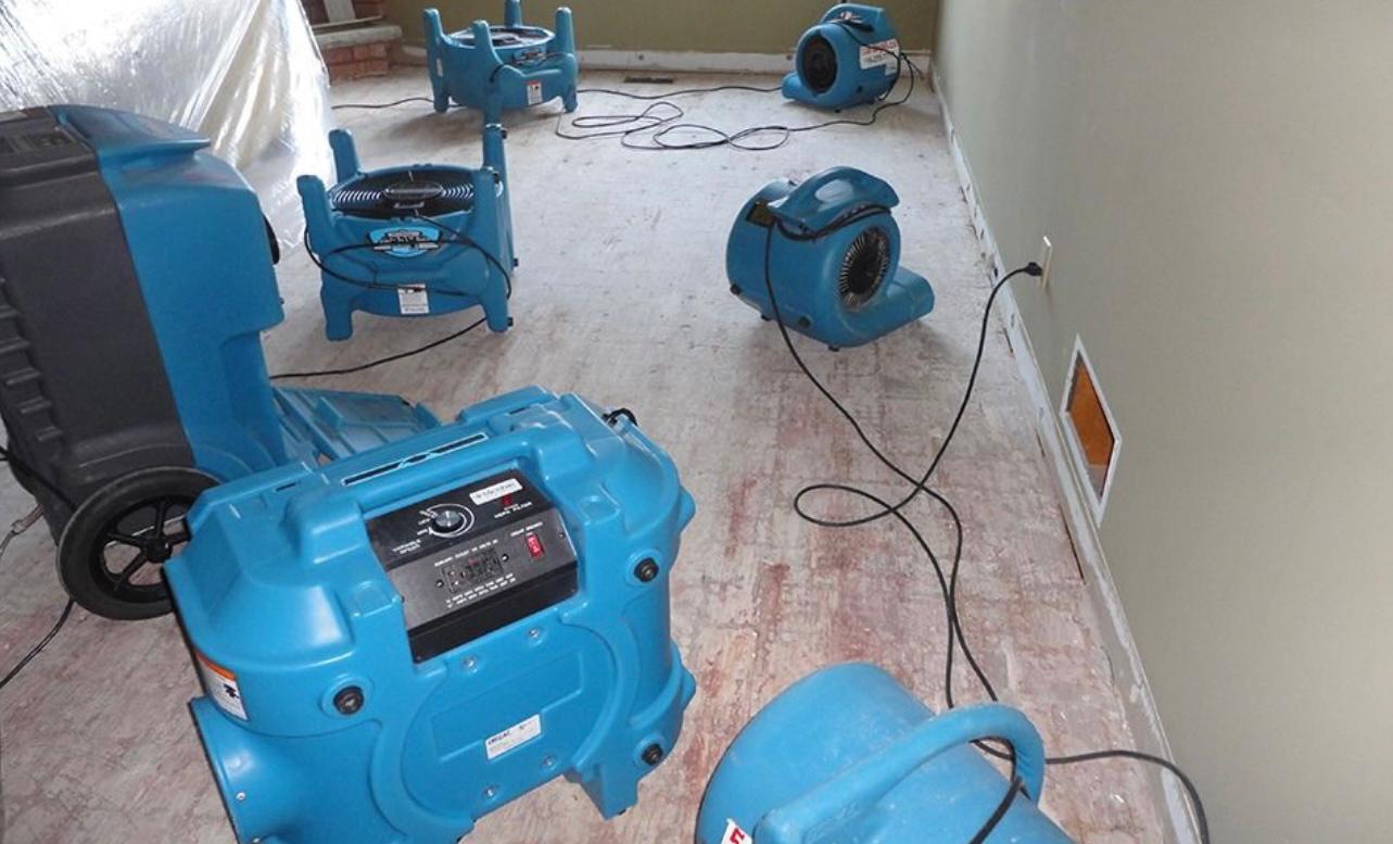Green Guard Mold Specialist