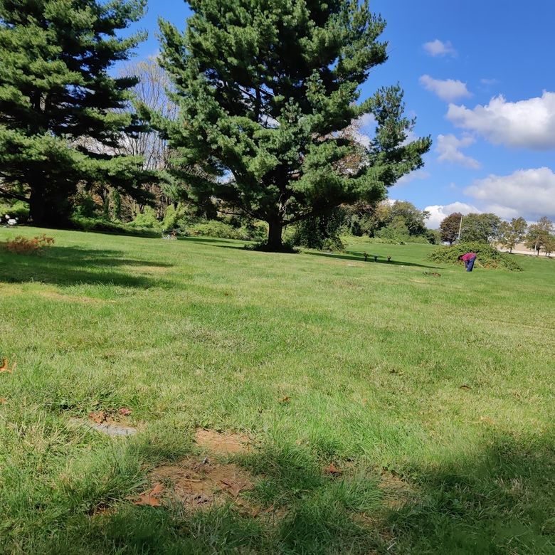 Dear Pet Memorial Park