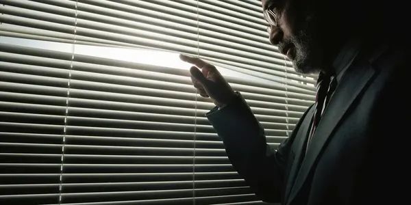 Mullenix Investigations LLC