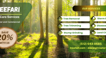 Tree Services – Treefari