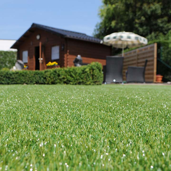 My Lovely Lawn