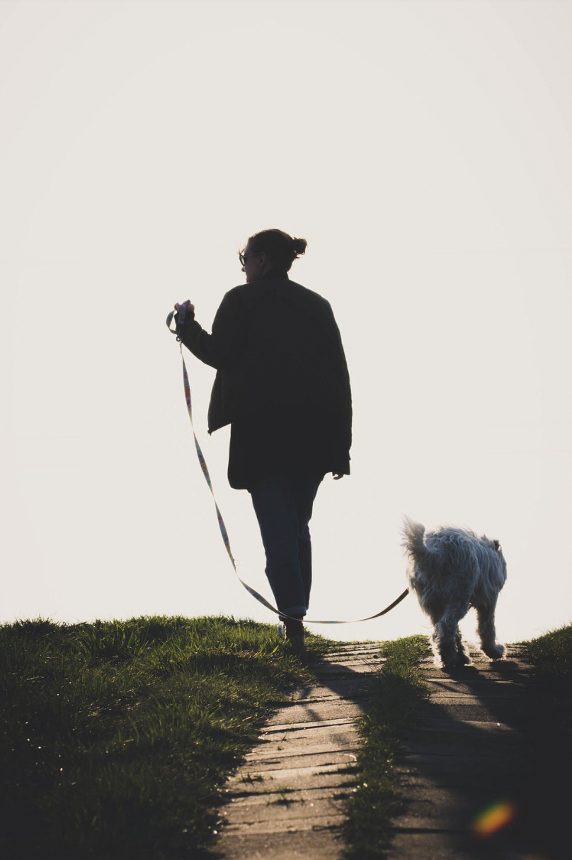 Brisbane Dog Walker