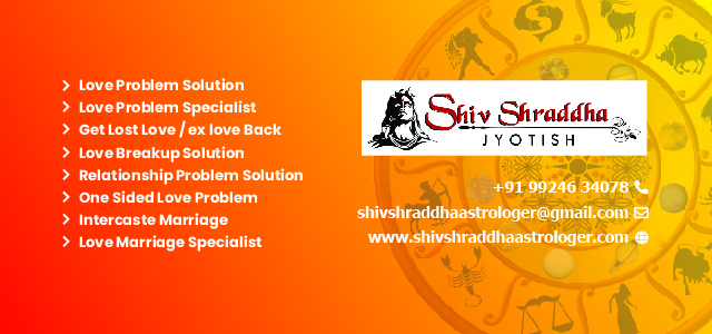 Shiv Shraddha Jyotish, we have the best team