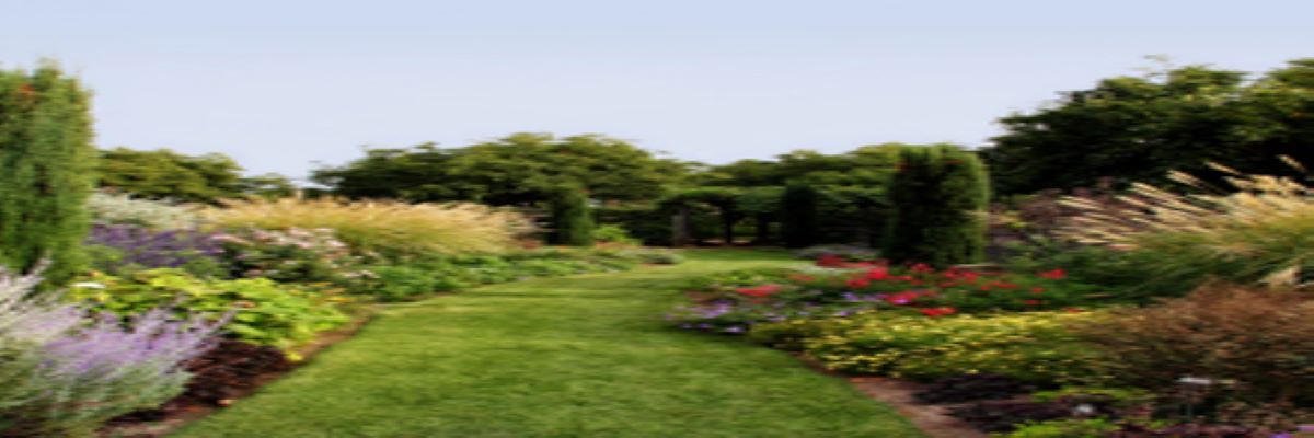 Green Thumb Landscaping & Excavating Inc