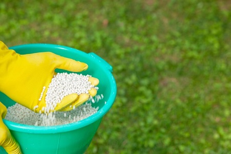 Palatine Elite Lawn Care