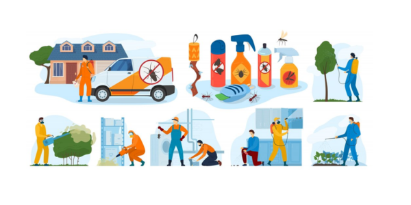 Pest Control M.Walshe
