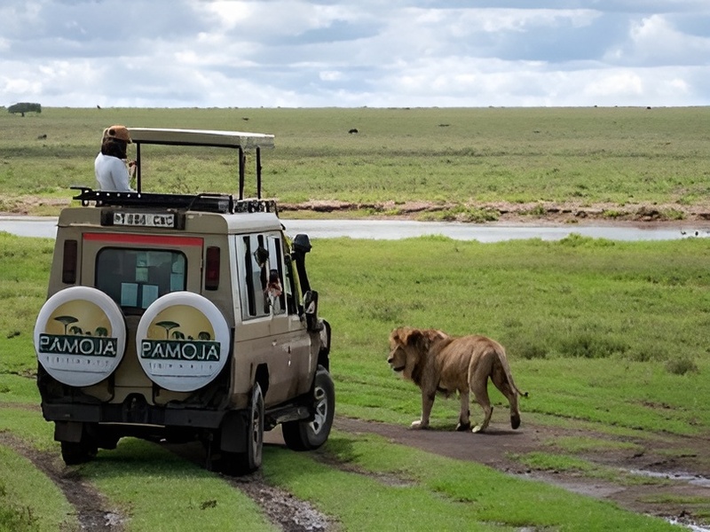 Chalema Tanzania Safaris