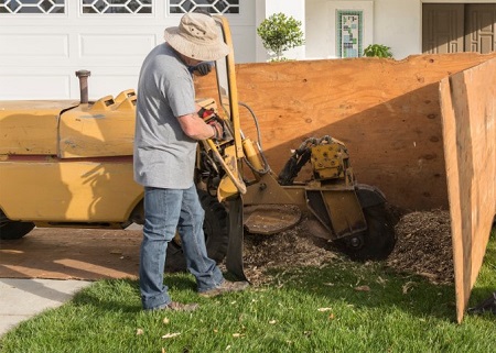Covington Tree Service Pros