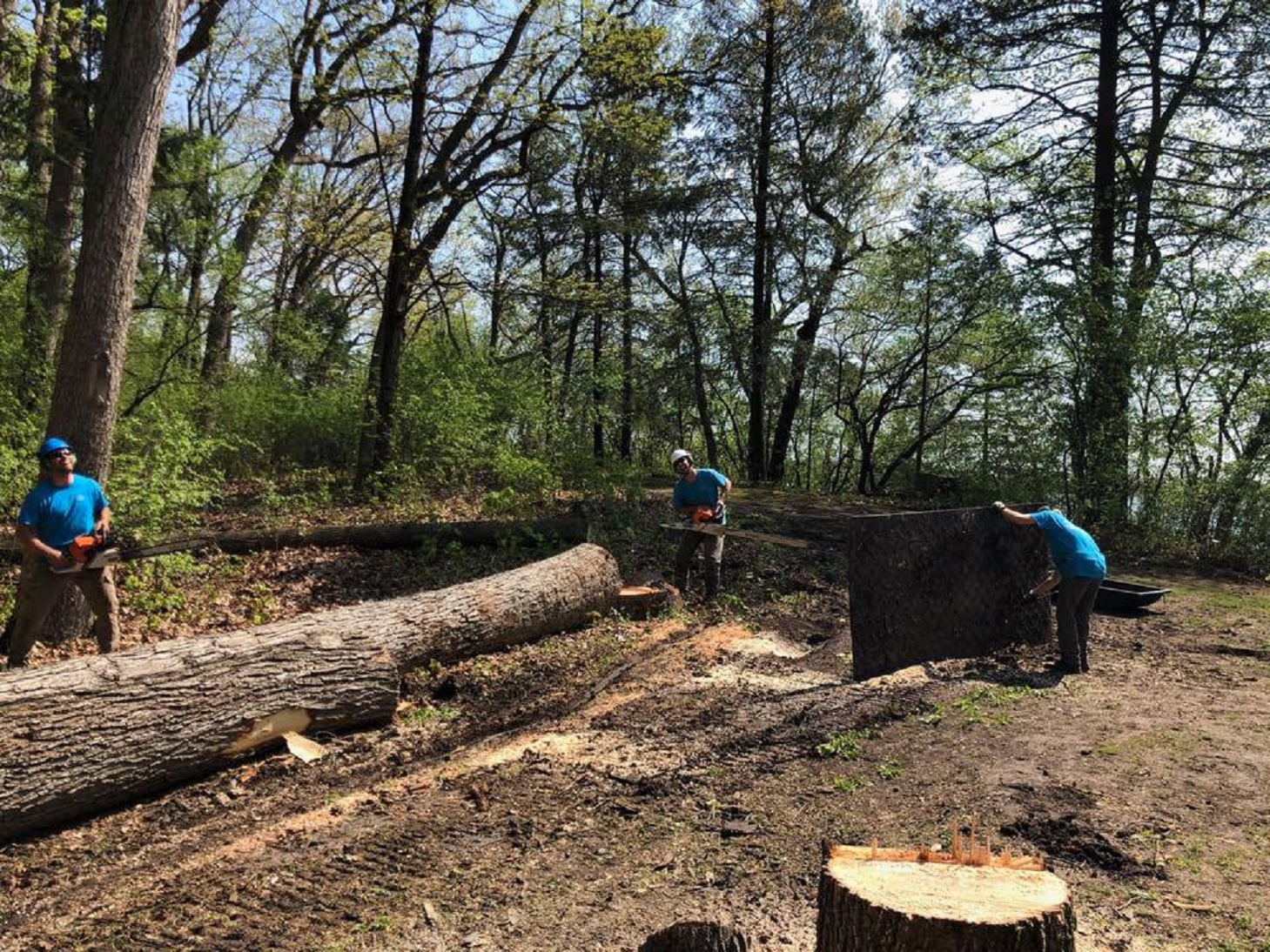 Pewaukee Tree Care