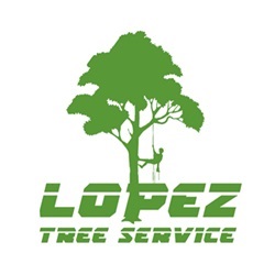 Lopez Tree Service