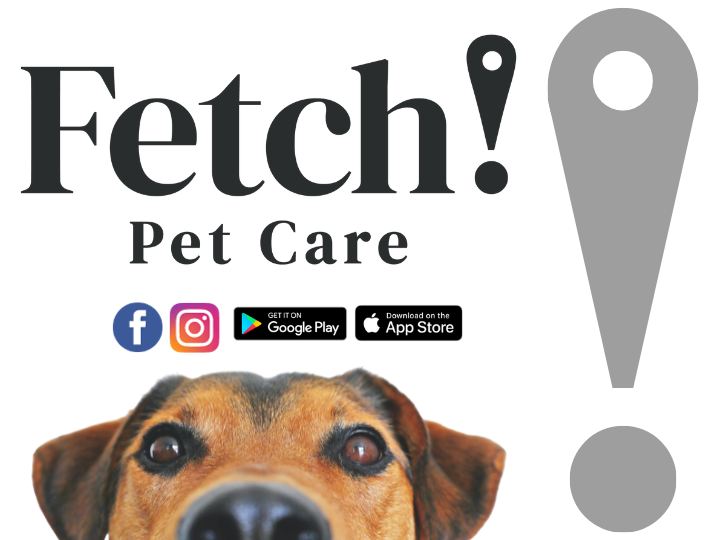 Fetch! Pet Care of Alpharetta
