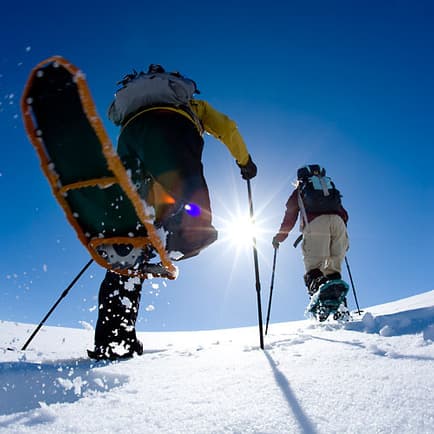 Bend Social Co
