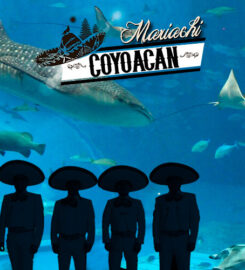 MARIACHI COYOACAN