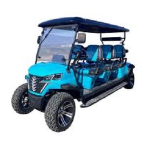 Luxury Fernandina Beach cart rentals