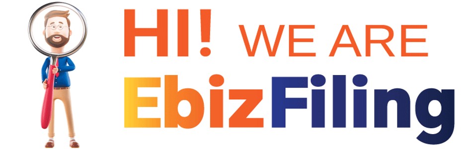 Ebizfiling India Pvt Ltd