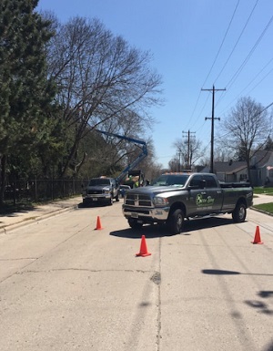 Green Bay Tree Service