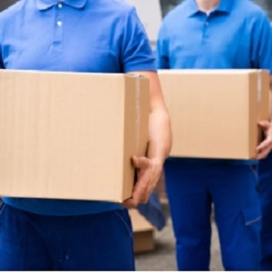 Three Movers Durham