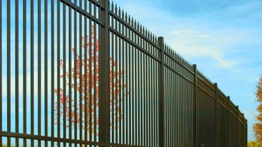 Illinois Fencing