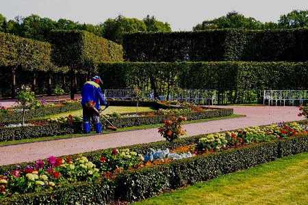 Wellesley Landscaping