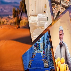 Morocco Travel Organizer