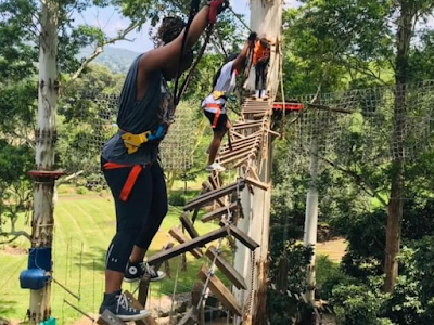 Tree Felling Pietermaritzburg