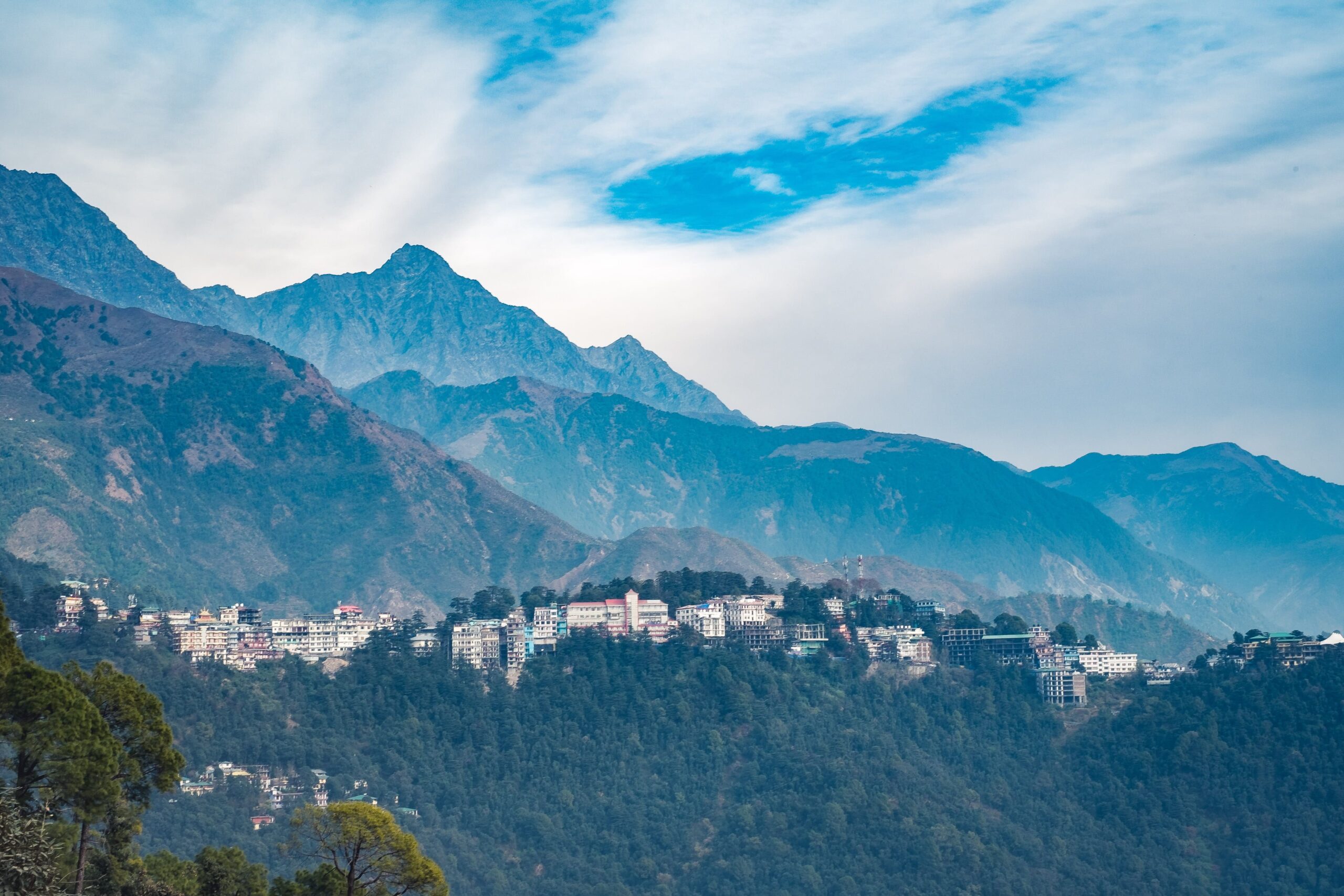 Trippit Planners