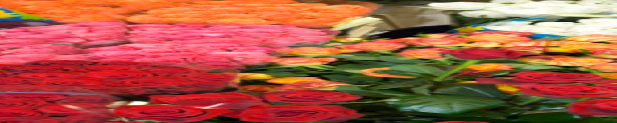 Rosemar Flowers