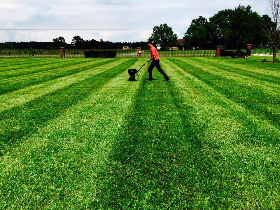 GreenPal Lawn Care of Spokane