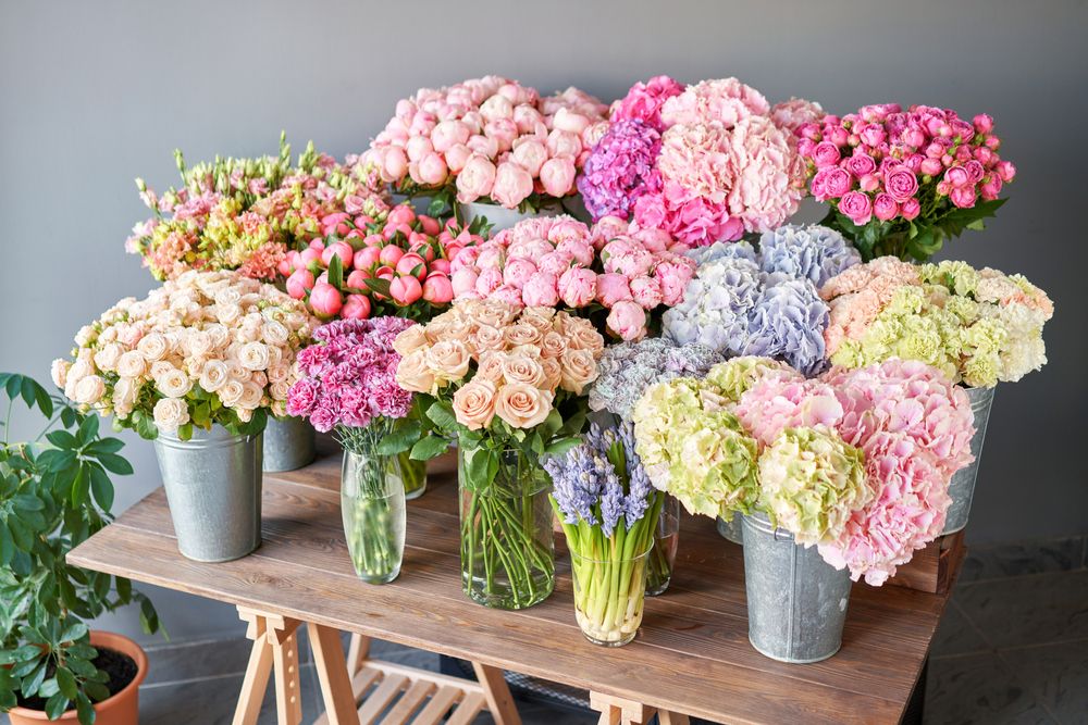 Flowers by Riverside