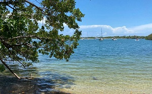 Terrific Boat Charters