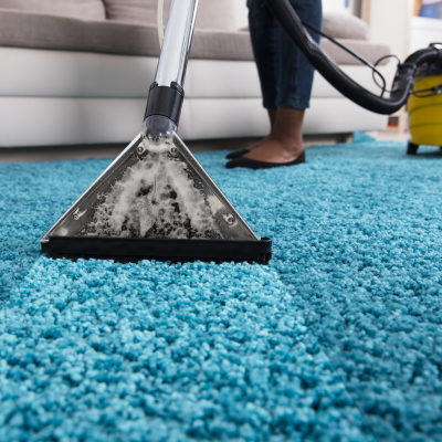 Naples Rug Spa