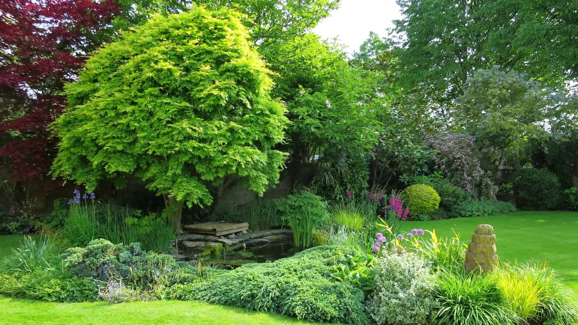 Tree Surgeon Exeter