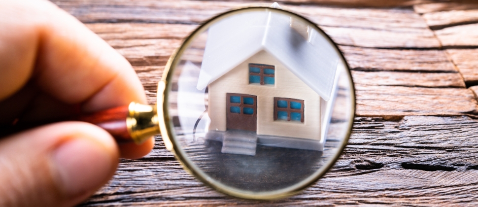 Expert Building Inspectors