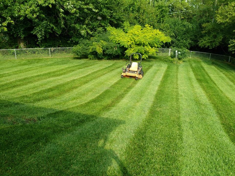 GreenPal Lawn Care of Fresno