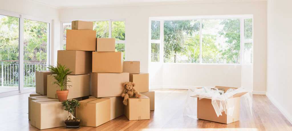 So High Removals