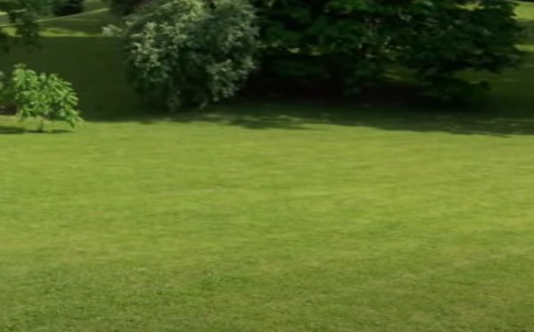 Avon Lawn Care