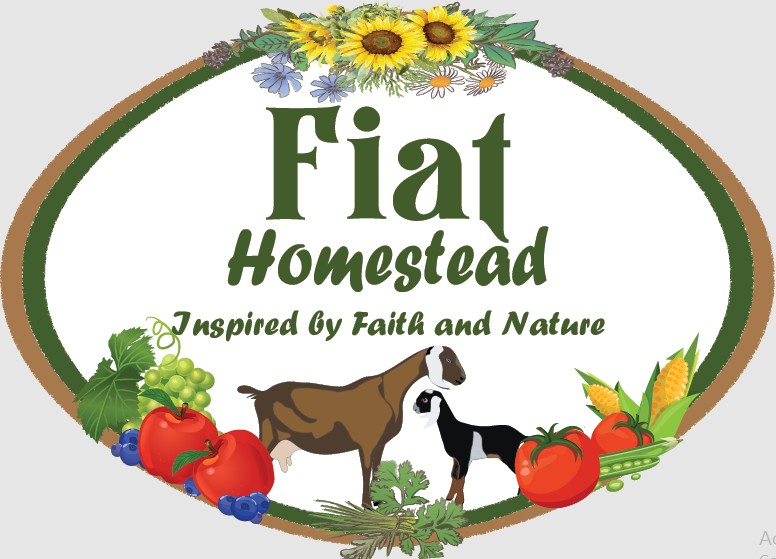Fiat Homestead