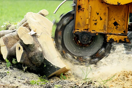 Complete Tree Service of Lebanon