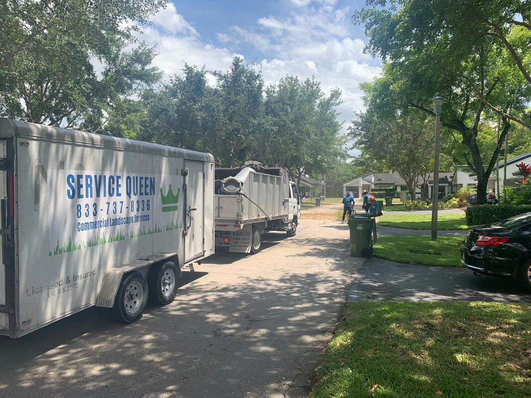 Service Queen Tree Service