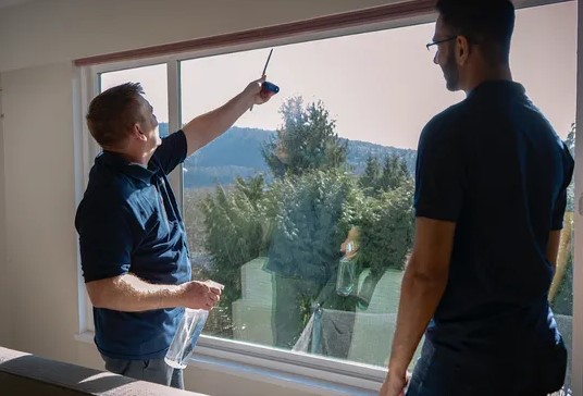 LR Window Films