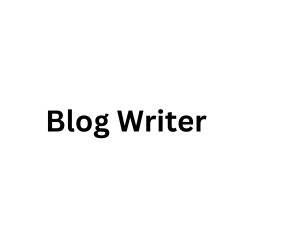 Blog Writer