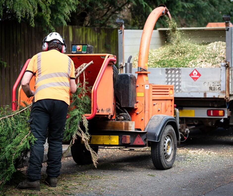 All Florida Land Service, LLC
