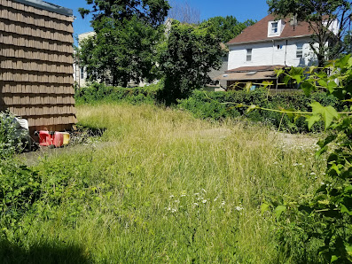 Grass & Yard Services Bronx