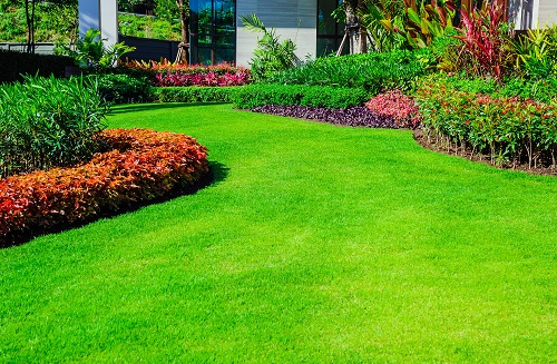 Pest Patrol SWFL