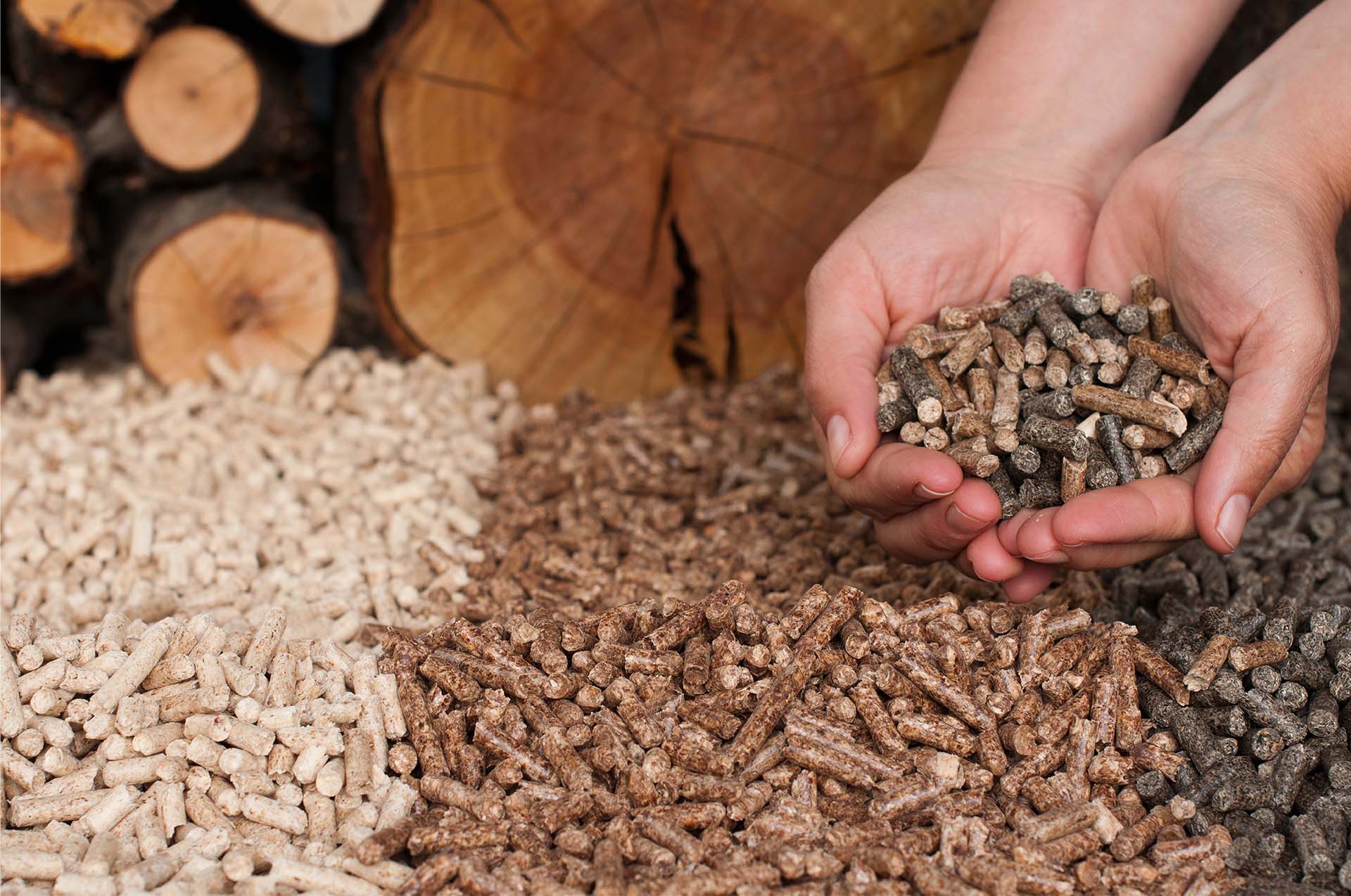 Best Biomass Pellet Manufacturer & Supplier in India